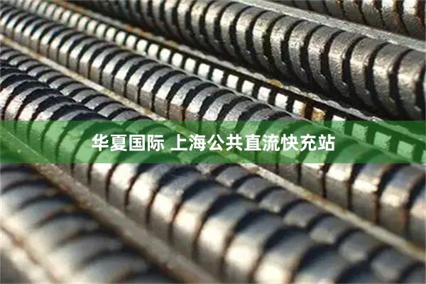 华夏国际 上海公共直流快充站