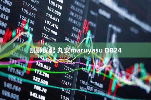 凯狮优配 丸安maruyasu DB24